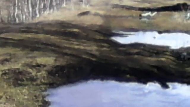 Джиппинг,экстрим драйв бездорожье путешествия