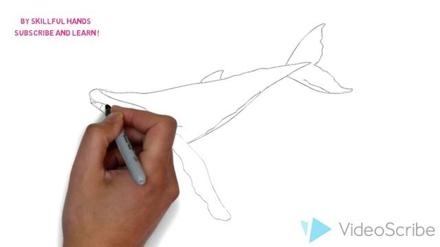 How to Draw a Whale / Как нарисовать кита смотреть онлайн