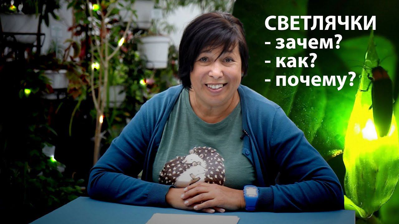 Кто такие светлячки и как они светятся? Наталья Носова
