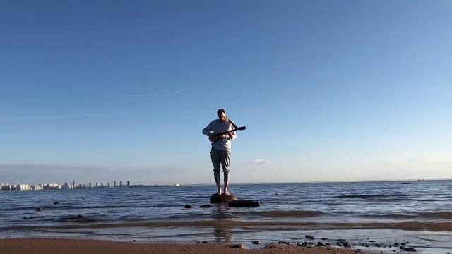 The Neva Bay (Harley Benton Traveler E-Steel) смотреть онлайн