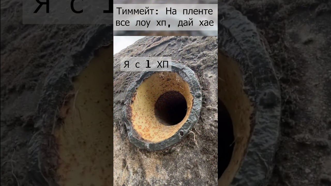 Эйс гранатой в #cs2 #кс2 #memes #shorts #s1mple #monesy #m0nesy #simple смотреть онлайн