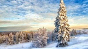 Снега России. Красивая песня.