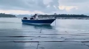 Haibo İpenguin P65 GPS Sanal Çapa | Haibo Türkiye