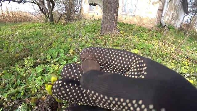 Там, где люди не живут. Коп с МД Nokta makro Simplex Plus. смотреть онлайн