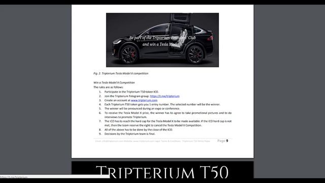 Tripterium обзор Whitepaper смотреть онлайн