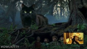 Мэддисон смотрит Властелин Котов