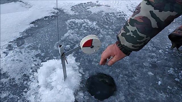 23.11. КМ (савельево) ЩУКА НА ЖЕРЛИЦЫ НА ОСНОВНОМ смотреть онлайн