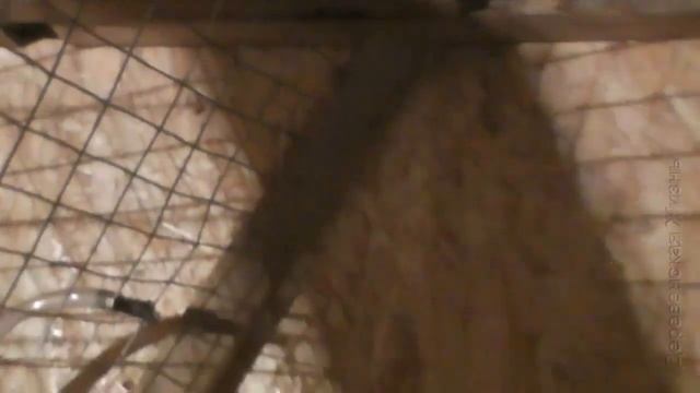 Клетка для кроликов трех ярусная своими руками 2 смотреть онлайн