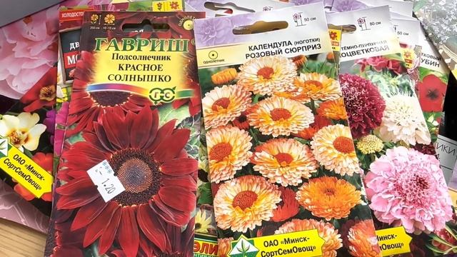 Какие семена посадить в апреле на рассаду или прямо в грунт. Пора садить в домашние мини парники. смотреть онлайн