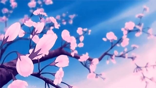 cherry blossom смотреть онлайн