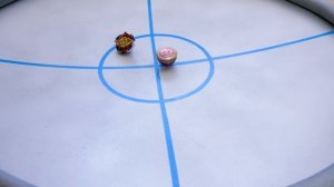 БЕЙБЛЭЙД СЕМЕЙСТВО СПРАЙЗЕНОВ Все Спрайзены На Большой Арене BeyBlade Burst