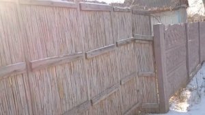 Как состарился забор из камыша