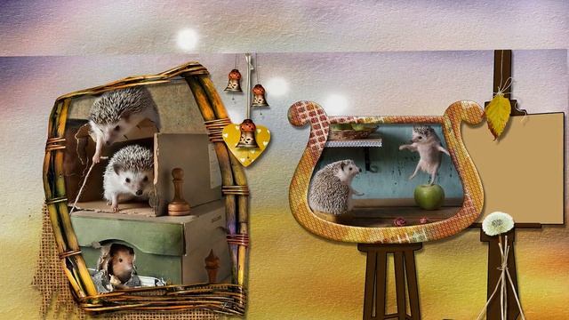 Жизнь ёжиков смотреть онлайн