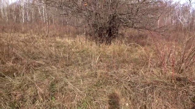 ? В ПОИСКАХ ДОЛЬМЕНОВ. Поход на Богатырские поляны смотреть онлайн