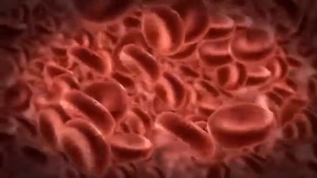 Иморталиум - Imortalium смотреть онлайн