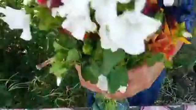 Природные чудеса