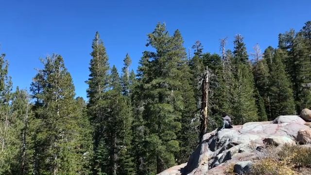 Cabin trip in our new Ford Excursion смотреть онлайн