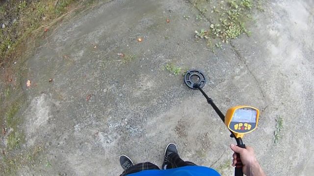 Gold Sniper Metal Detector - Ebay Chinese - MD - 3010II Coil