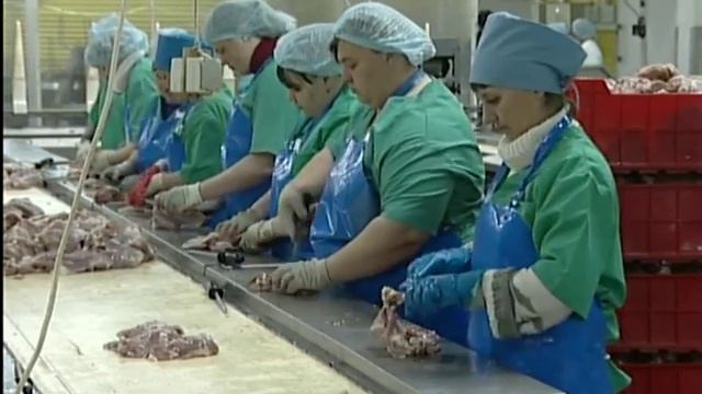 В Сухобузимском районе возрождается крупная птицефабрика смотреть онлайн