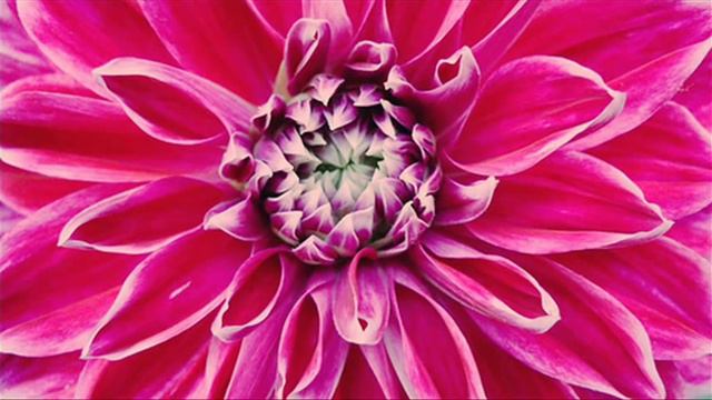 A. Vivaldi: Sonata for flute & b.c. in G minor (RV 51) смотреть онлайн