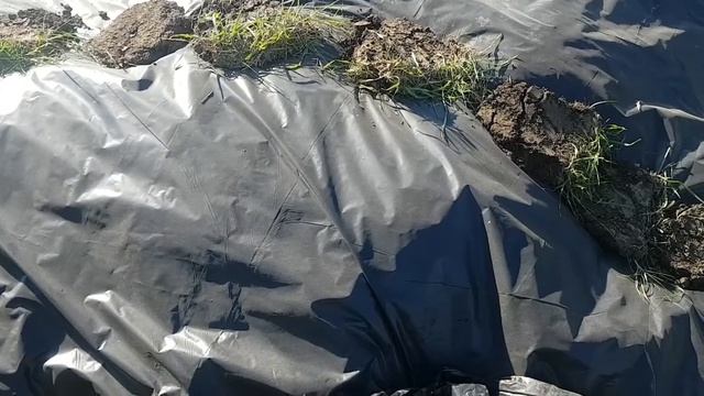 сенаж в домашних условиях, зелёноскошиной травы смотреть онлайн