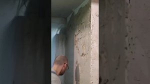 Бюджетный ремонт прихожей своими руками