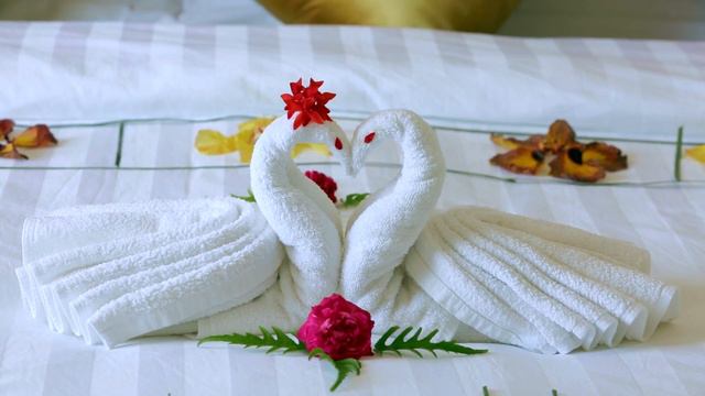 Plumeria Maldives