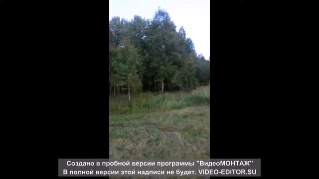 ямаха гризли 700 против Дена,8 лет смотреть онлайн