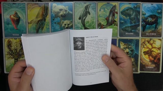 Secret Language of Animals oracle смотреть онлайн