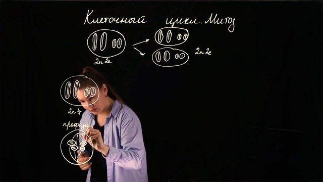 Митоз смотреть онлайн