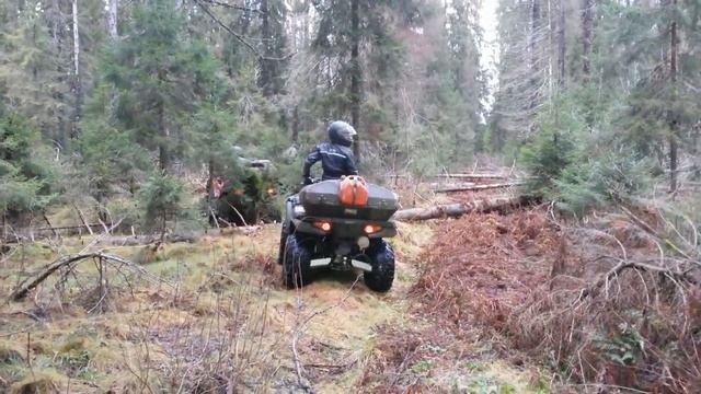 квадро покатушка 17 11 13 смотреть онлайн