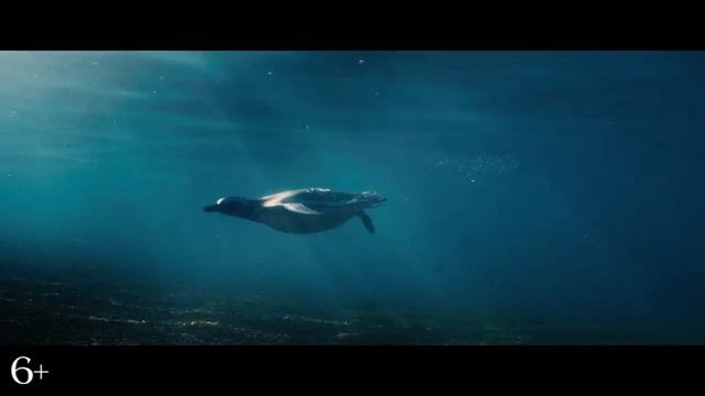 Мой пингвин | Дубляж | 2024 смотреть онлайн
