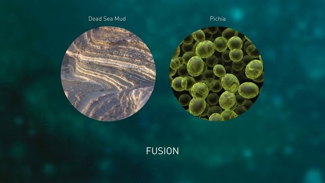 AHAVA NEW Beauty Before Age -Uplift Day Cream SPF 20 &Night Cream For Face, Neck & Déco смотреть онлайн