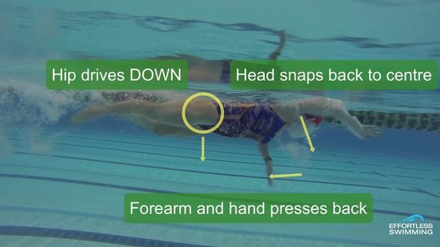 How To Get Your Timing Right When Breathing In Freestyle смотреть онлайн