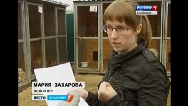 вновь помощь требуется приюту для бездомных животных в Гусь Хрустальном смотреть онлайн