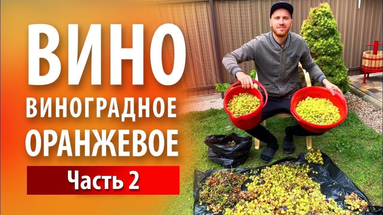 Вино «Оранжевое» из белого винограда | Часть 2 смотреть онлайн