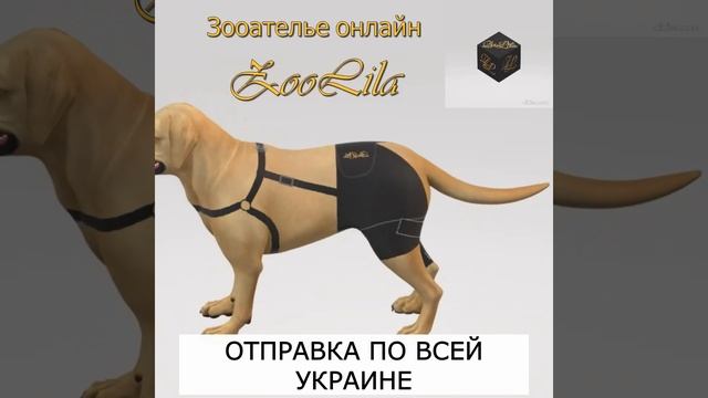 Бандаж на колено: схематический обзор на собаке смотреть онлайн