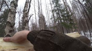 ПОСТРОЙКА КРЫШИ ДЛЯ СОЛОНЦА / СОЛОНЕЦ ДЛЯ ЛОСЯ