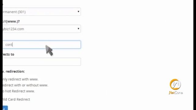 How To Setup Domain Redirects in cPanel | NetCone Hosting Bangladesh смотреть онлайн