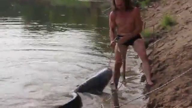 Новые Видео Приколы Супер Рыбалка НА Сома(1000)Самая большая в мире пойманная Рыба # смотреть онлайн