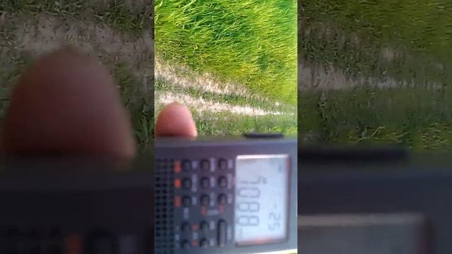 Tecsun PL-365 SSB 40 метров,Подмосковье смотреть онлайн