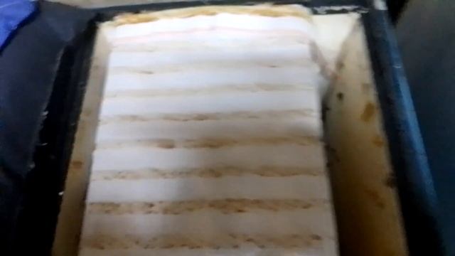 Первый осмотр пчел в омшанике!!!Зимовка 2022г. смотреть онлайн