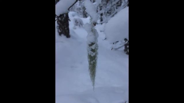 Зимняя сказка. смотреть онлайн