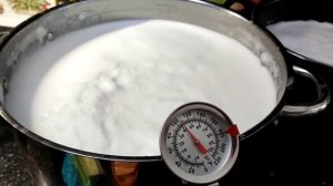 Как сделать творог и сметану из козьего молока на заквасках?//Рецепт сладкой сметаны и творога.