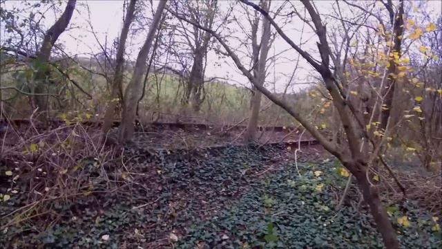 Along Old Railways Chepstow - Tintern Quarry 'Wye Valley Line' Explore смотреть онлайн