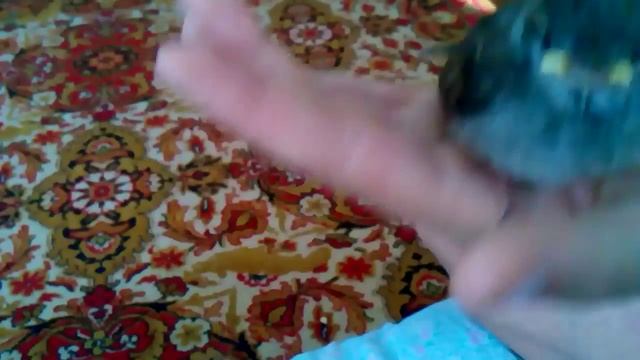 Наш маленький воробей смотреть онлайн