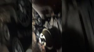 Подшипники опоры вискомуфты