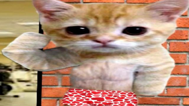 Чечил 🥵🥵🥵