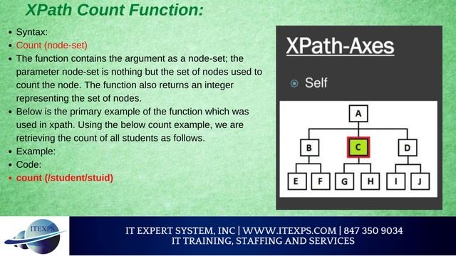 How Xpath works? | XML and XPath | XSLT | Selenium| Katalon | IT Expert System, INC смотреть онлайн