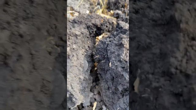 Otra columnaria con Invenio pro. смотреть онлайн